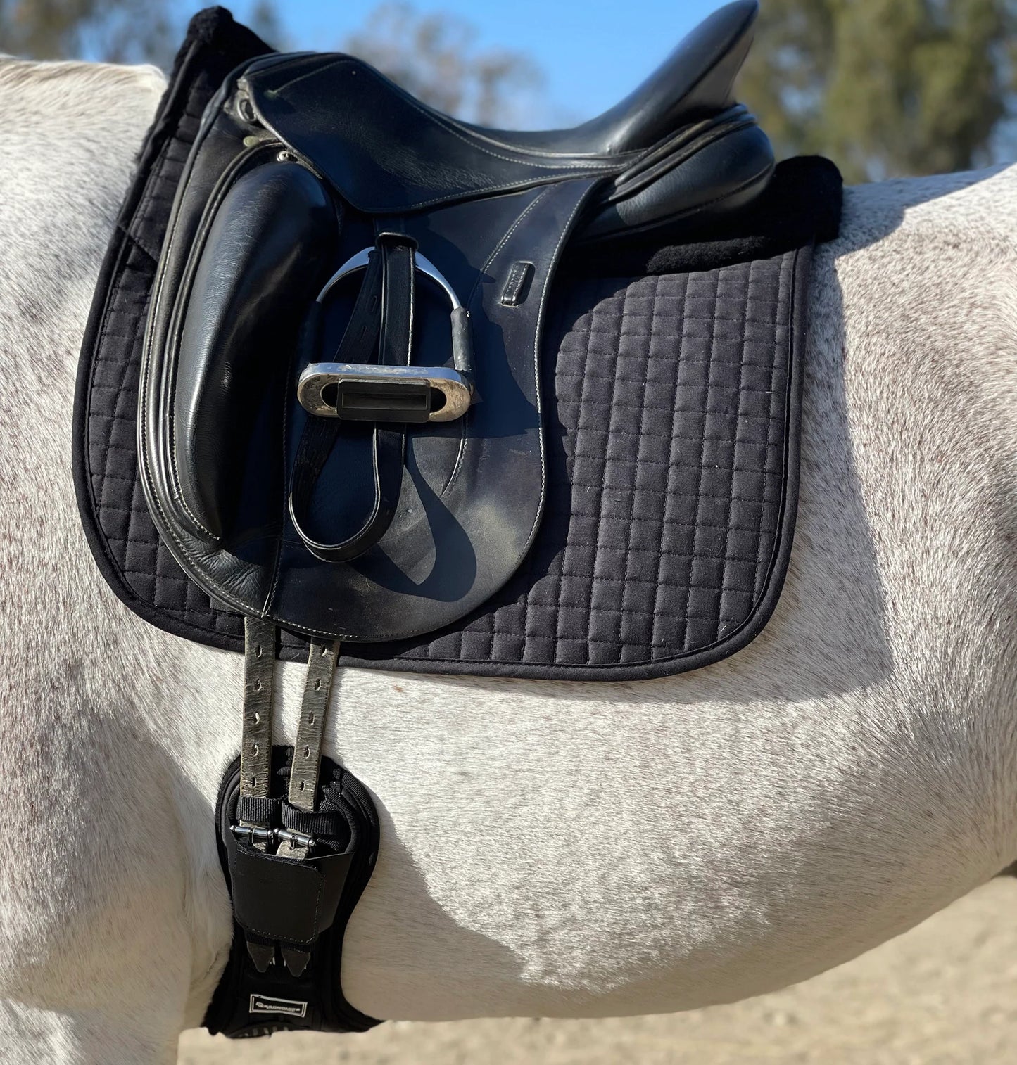 MAJYK EQUIPE Ergonomics Spur Saver Dressage Girth with Buckle Guards