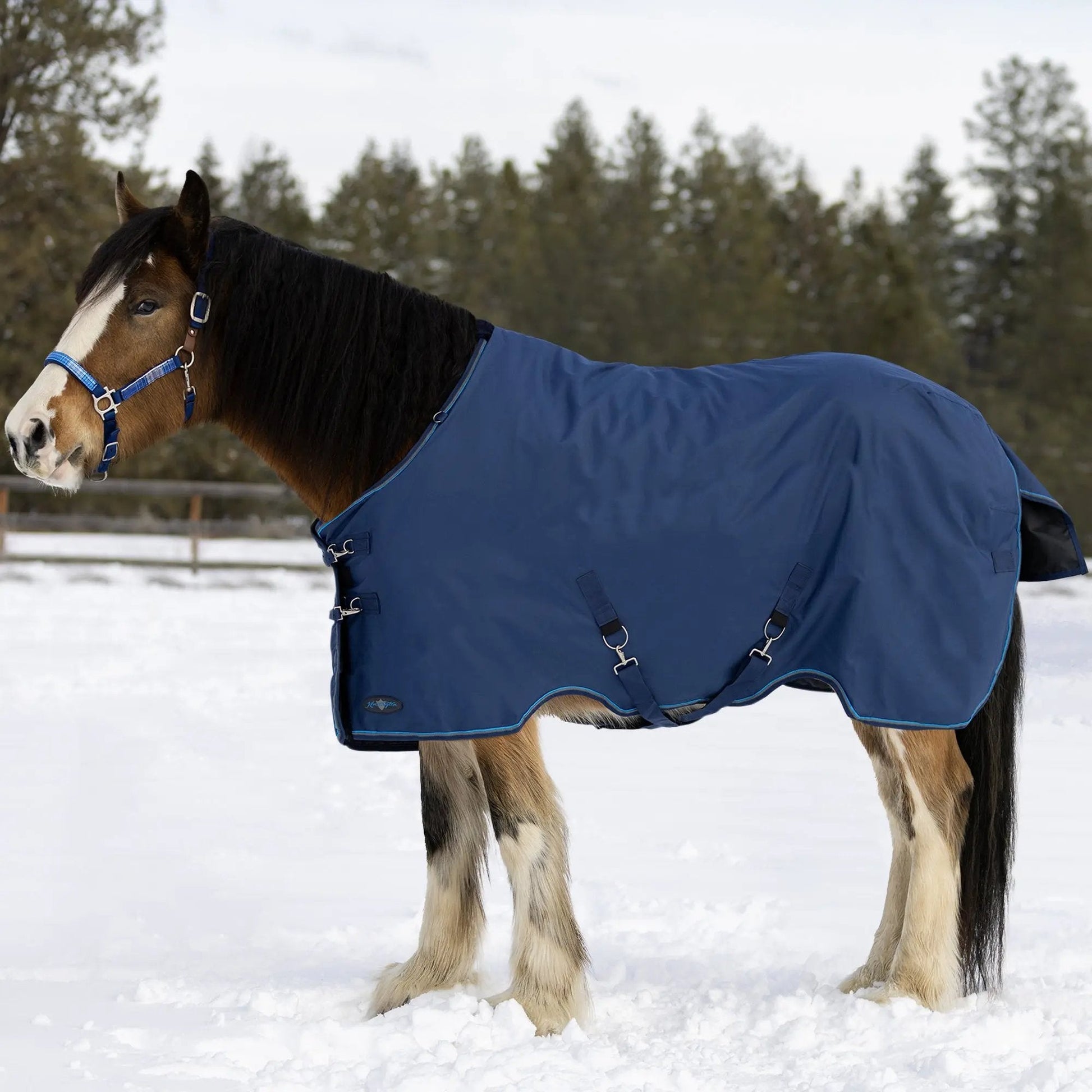 Draft Horse Midweight 180g Winter Turnout Blanket - Waterproof & Breathable - Riders Choice Supply Co