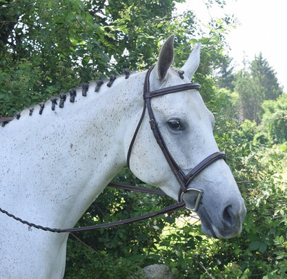 KL Select Red Barn Icon Bridle