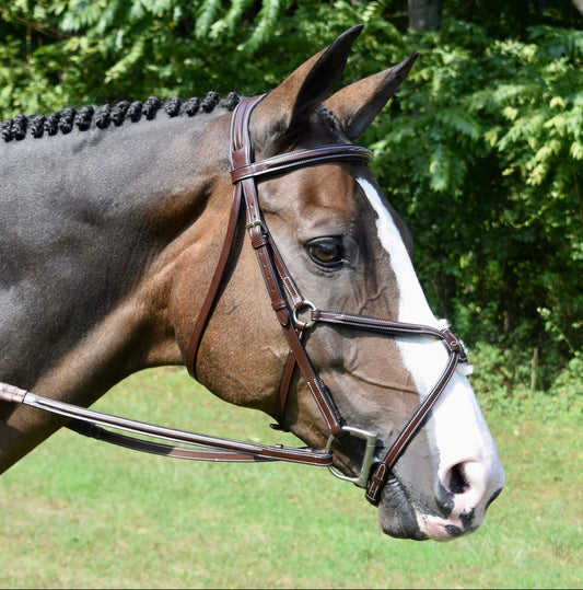 KL Select Red Barn Equinox Bridle