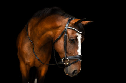 KL Select Red Barn Pace Bridle