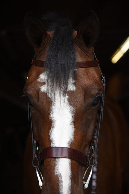 KL Select Foxwell Bridle