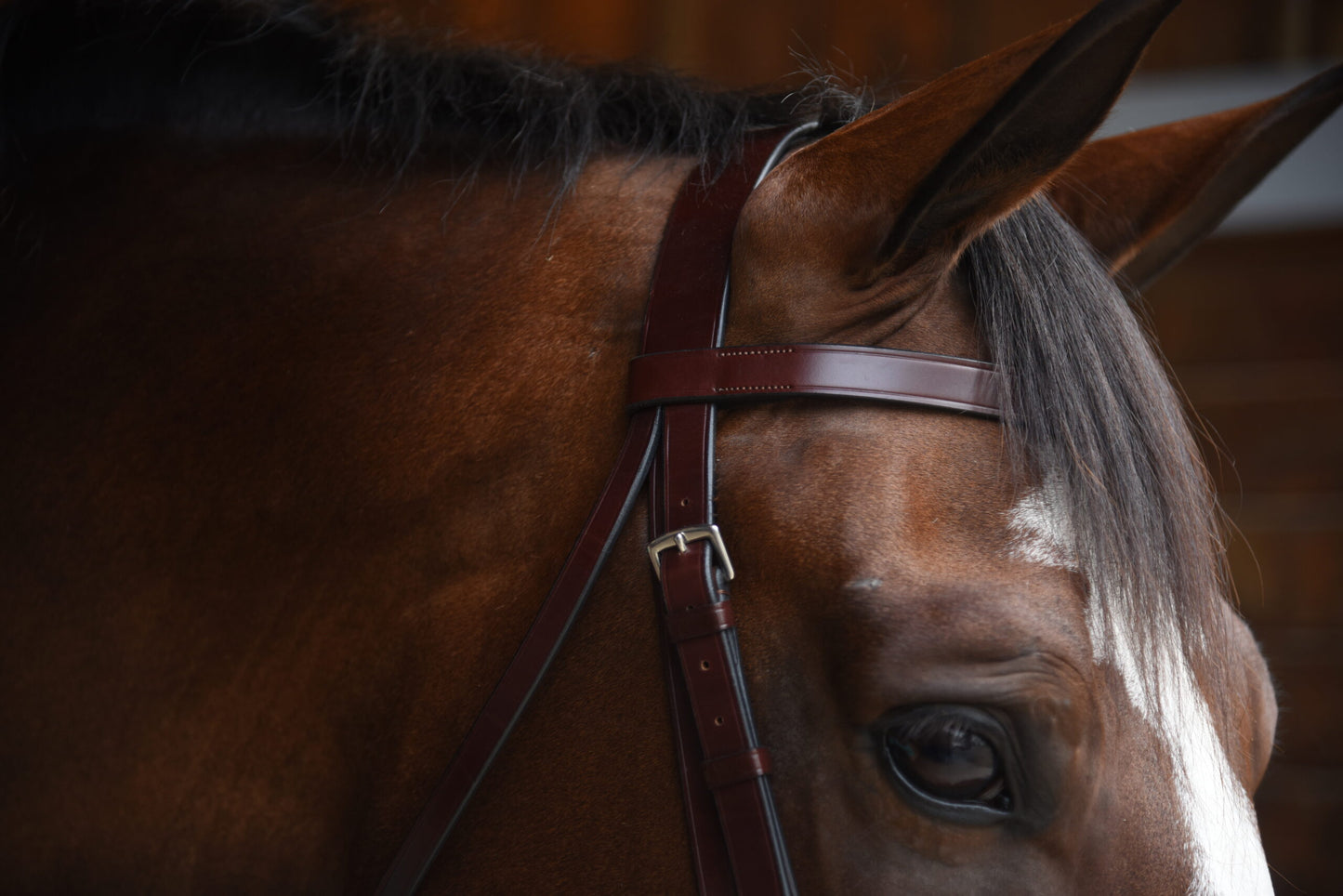 KL Select Foxwell Bridle
