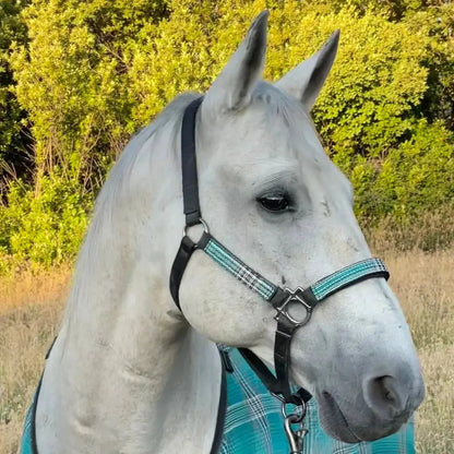 Reflective Nylon Halter with Textliene - Riders Choice Supply Co