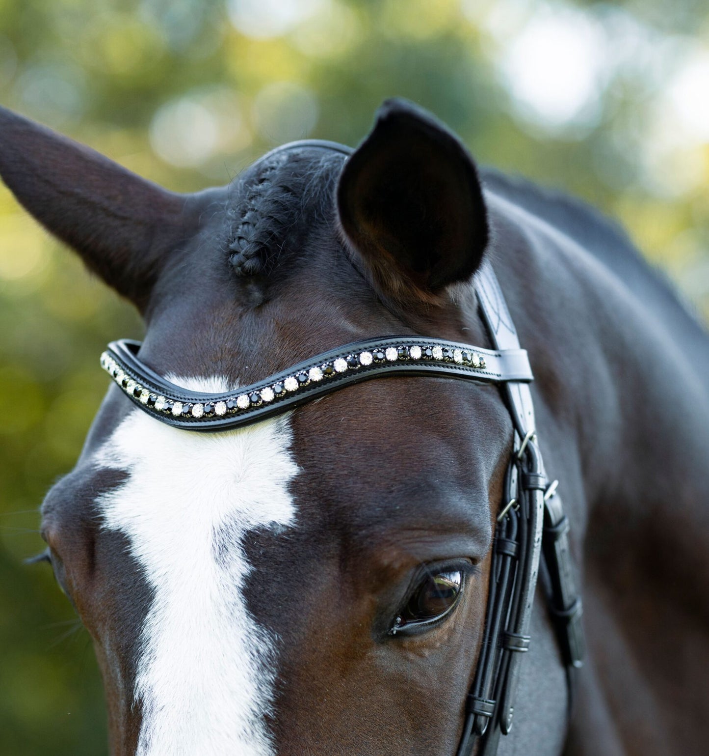 KL Select Red Barn Stride Bridle