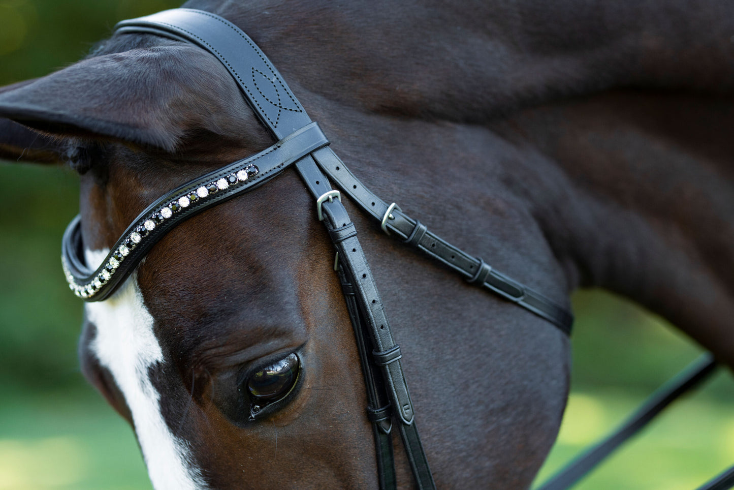 KL Select Red Barn Stride Bridle