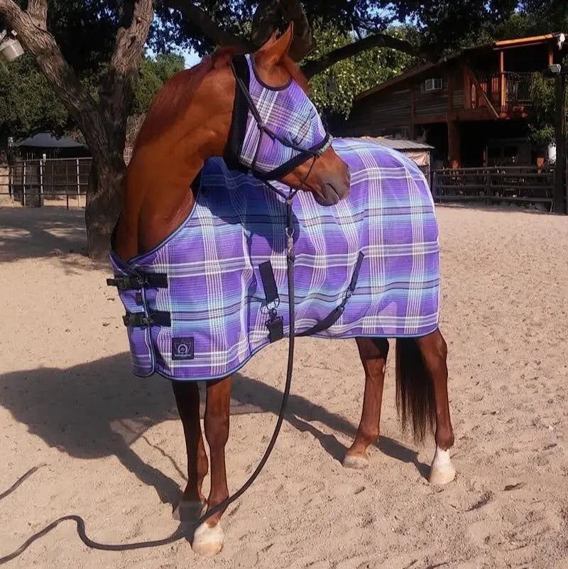 Clinician Training Rope Halter with Braided Nose - Riders Choice Supply Co