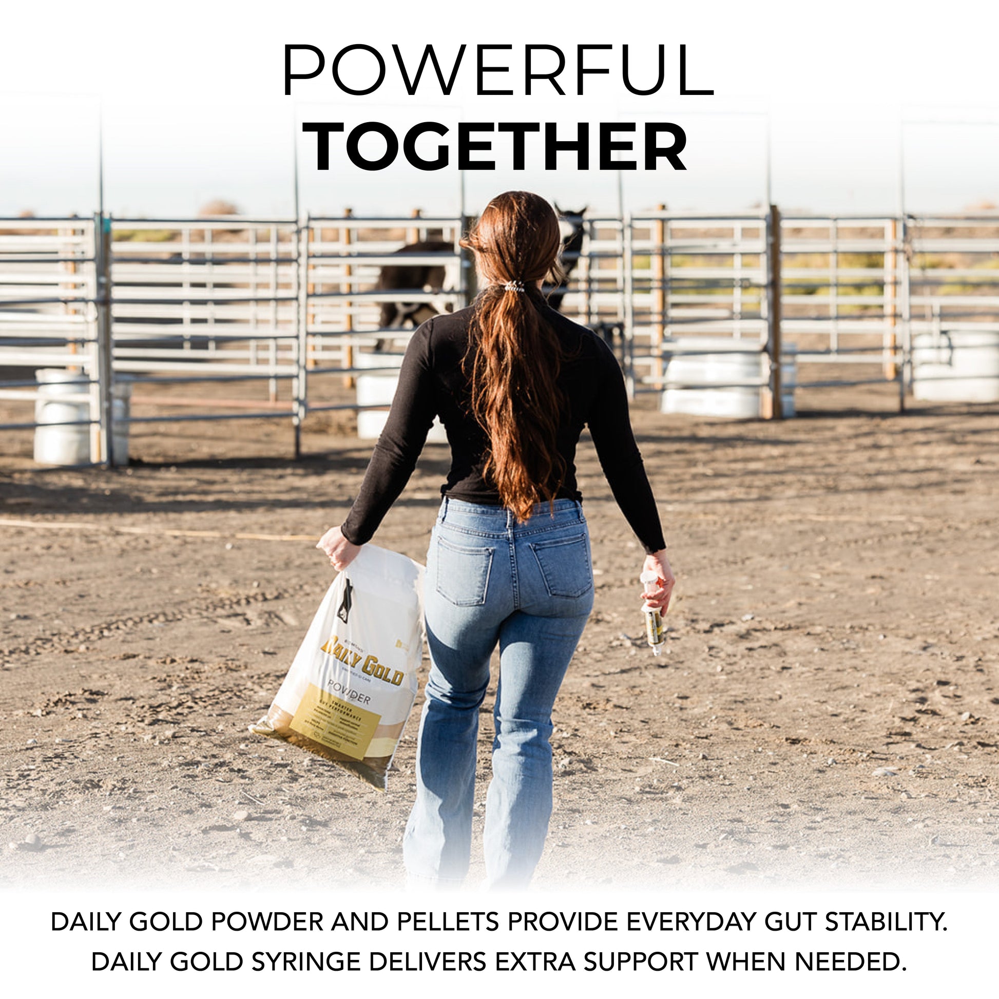 Daily Gold® Paste - Digestive Stress Relief for Horses - Riders Choice Supply Co