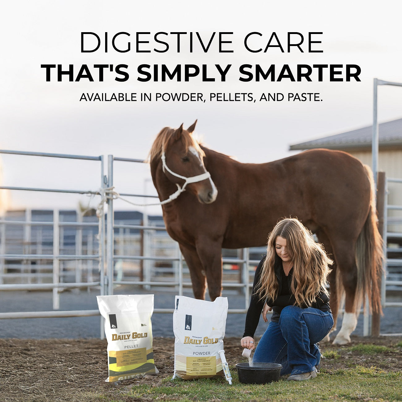Daily Gold® Paste - Digestive Stress Relief for Horses - Riders Choice Supply Co