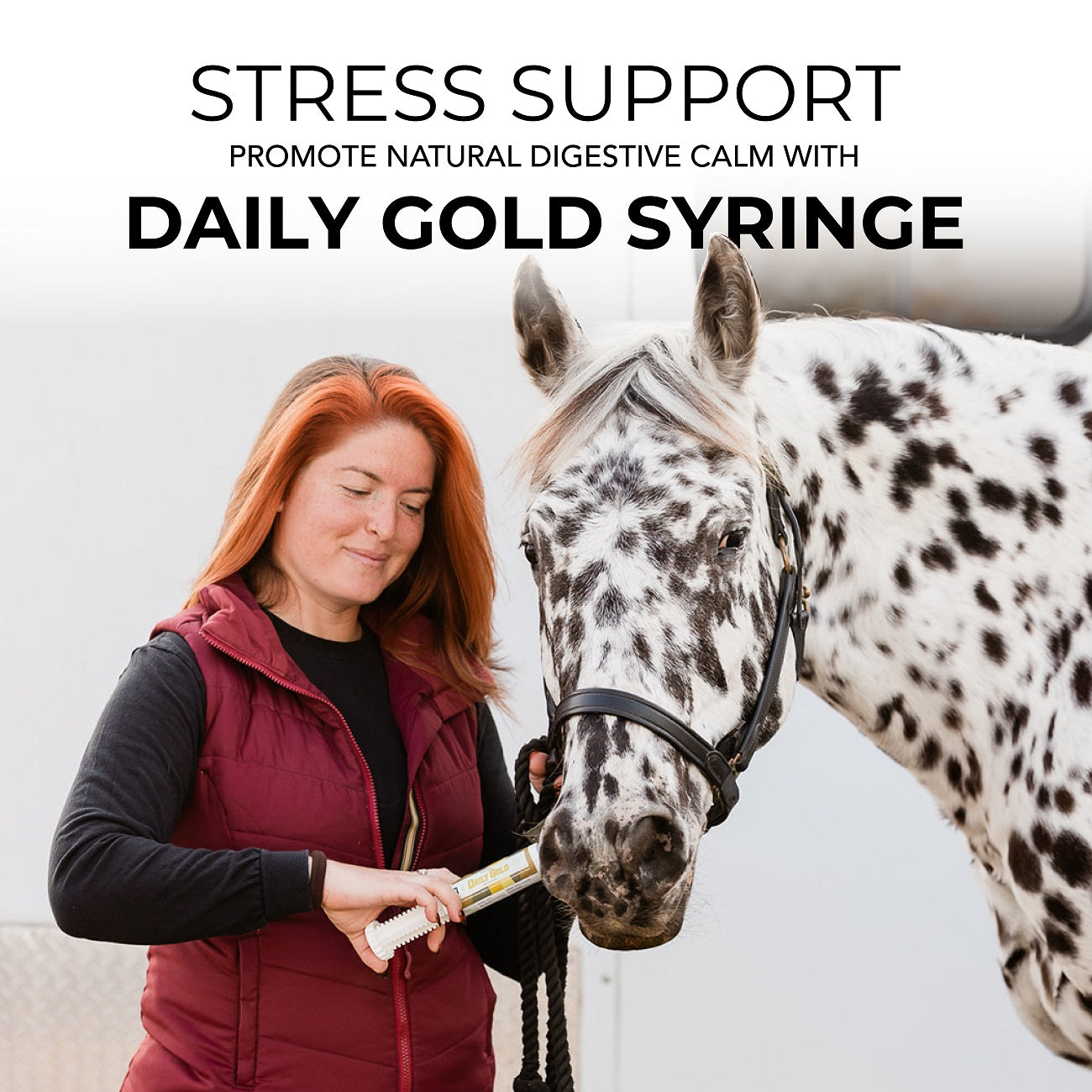 Daily Gold® Paste - Digestive Stress Relief for Horses - Riders Choice Supply Co