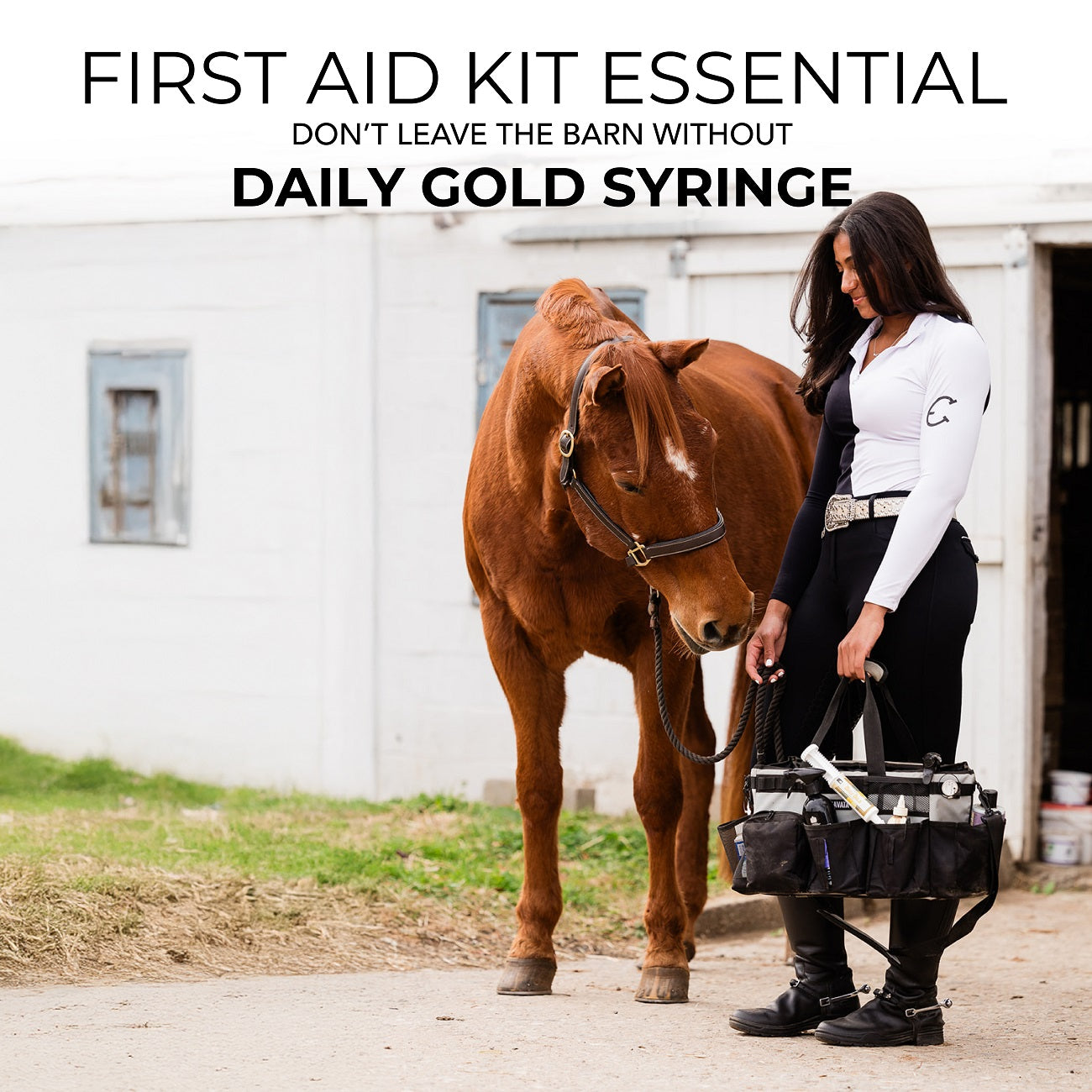 Daily Gold® Paste - Digestive Stress Relief for Horses - Riders Choice Supply Co