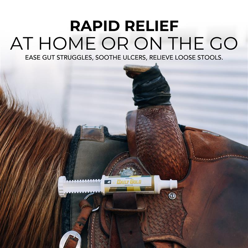 Daily Gold® Paste - Digestive Stress Relief for Horses - Riders Choice Supply Co