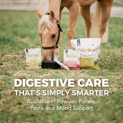 Daily Gold® - Horse Gut Supplements - Riders Choice Supply Co