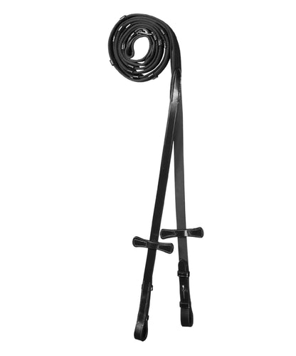 ExionPro Web Reins