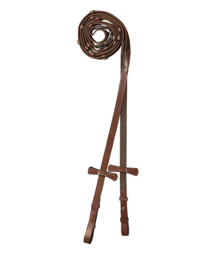 ExionPro Web Reins