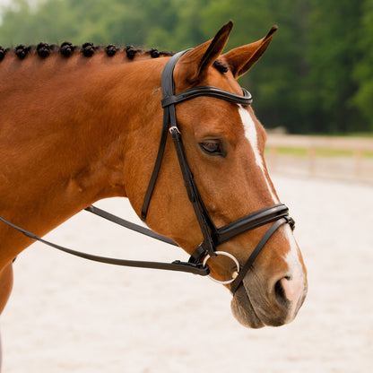 KL Select Flexion Rolled Bridle in Patent Leather