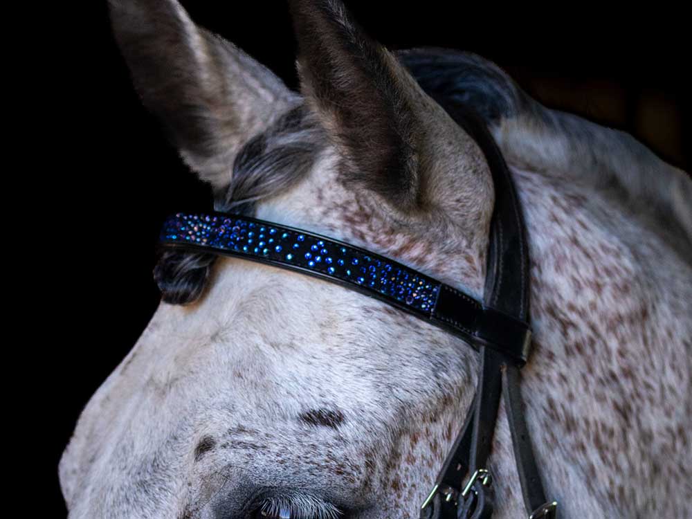 Cerulean Sparkles Browband - Riders Choice Supply Co