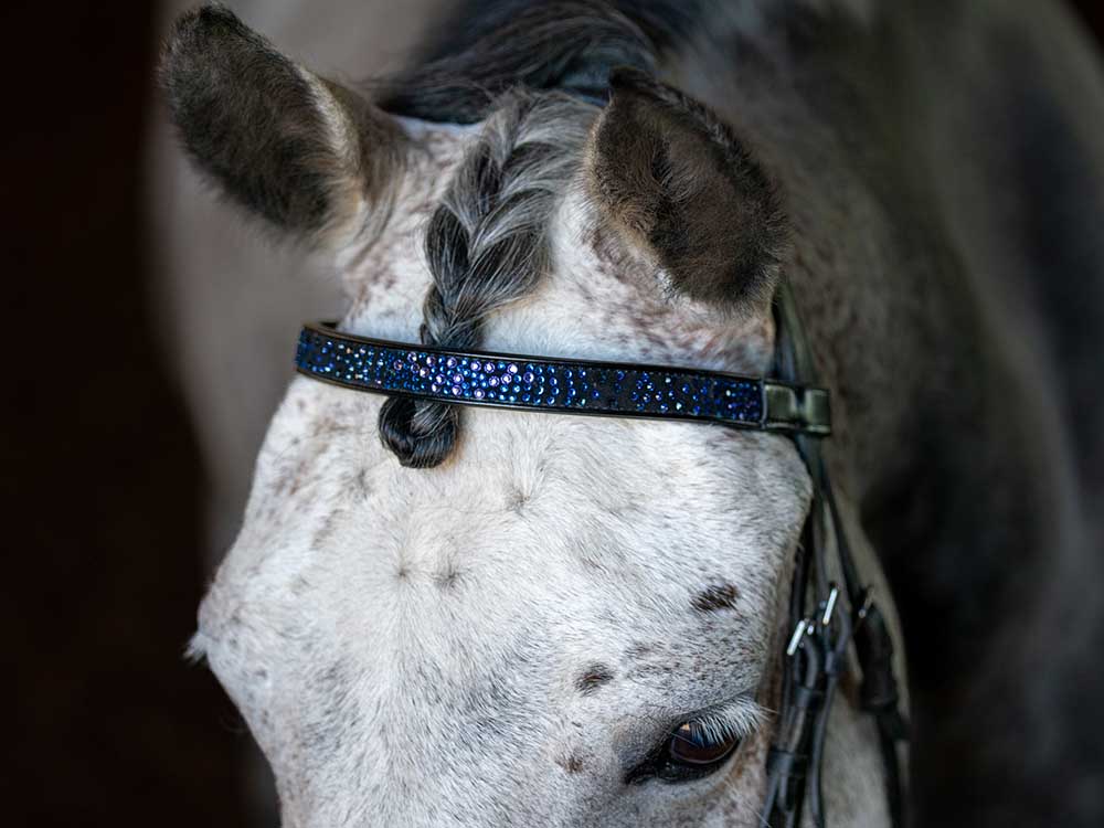 Cerulean Sparkles Browband - Riders Choice Supply Co