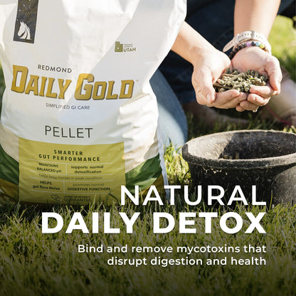 Daily Gold® - Horse Gut Supplements - Riders Choice Supply Co