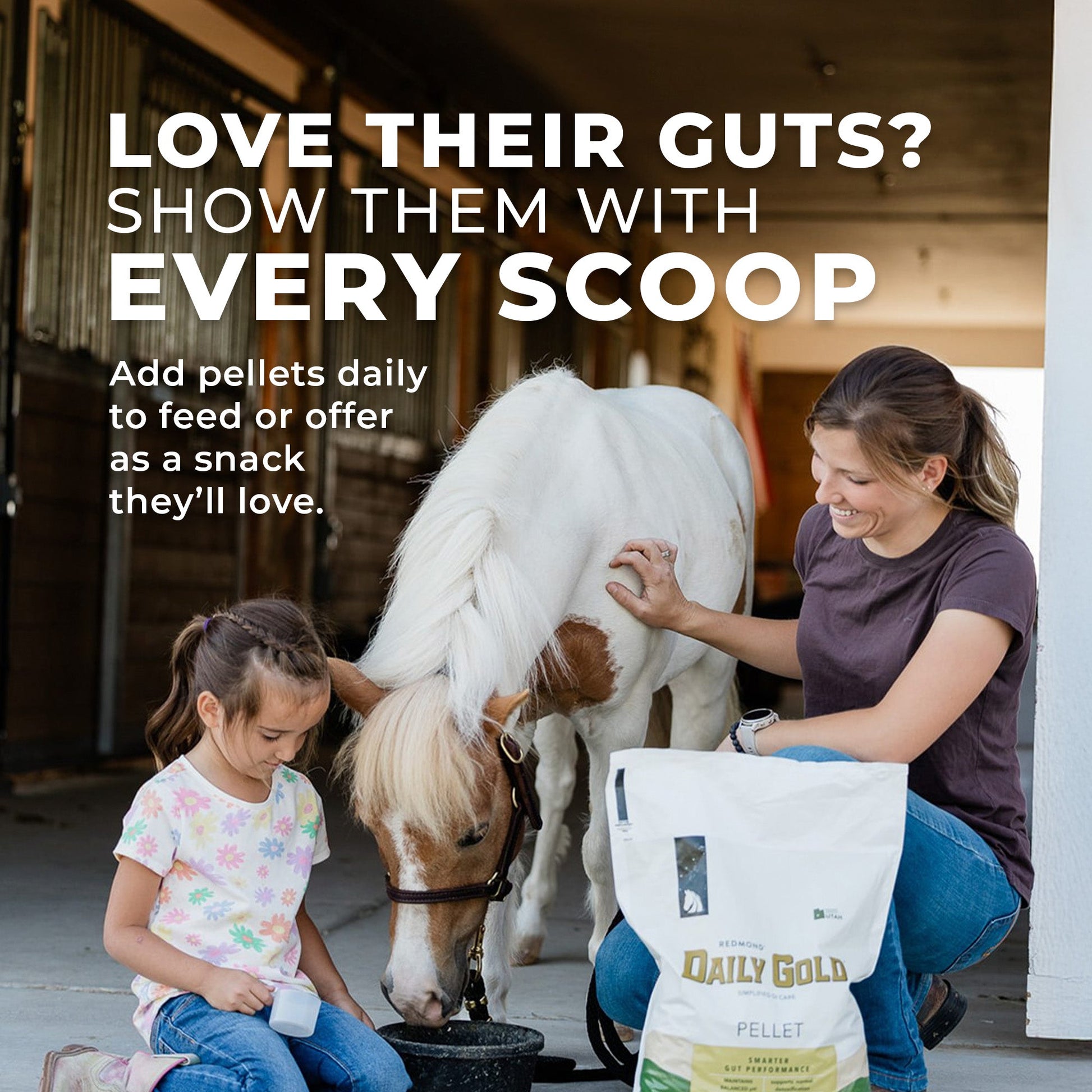 Daily Gold® - Horse Gut Supplements - Riders Choice Supply Co