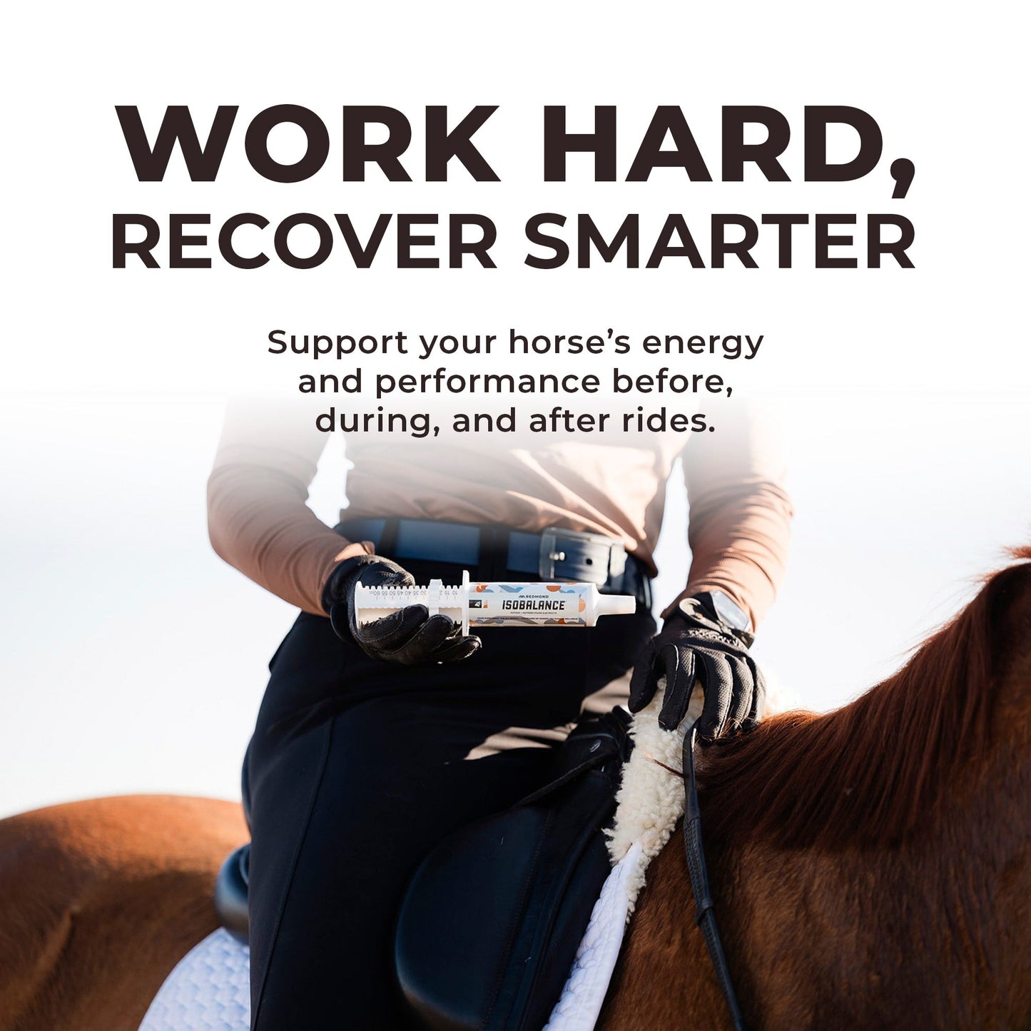 IsoBalance - Horse Electrolyte Paste - Riders Choice Supply Co