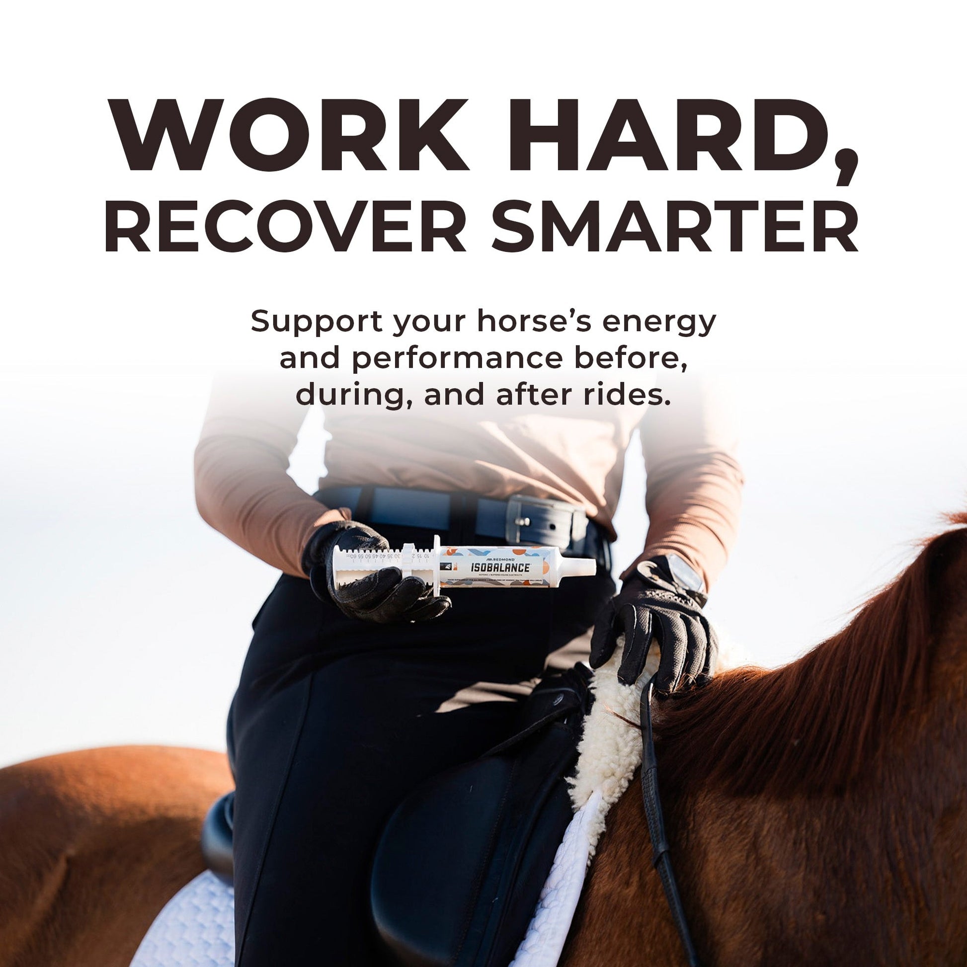 IsoBalance - Horse Electrolyte Paste - Riders Choice Supply Co