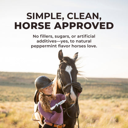 IsoBalance - Horse Electrolyte Paste - Riders Choice Supply Co