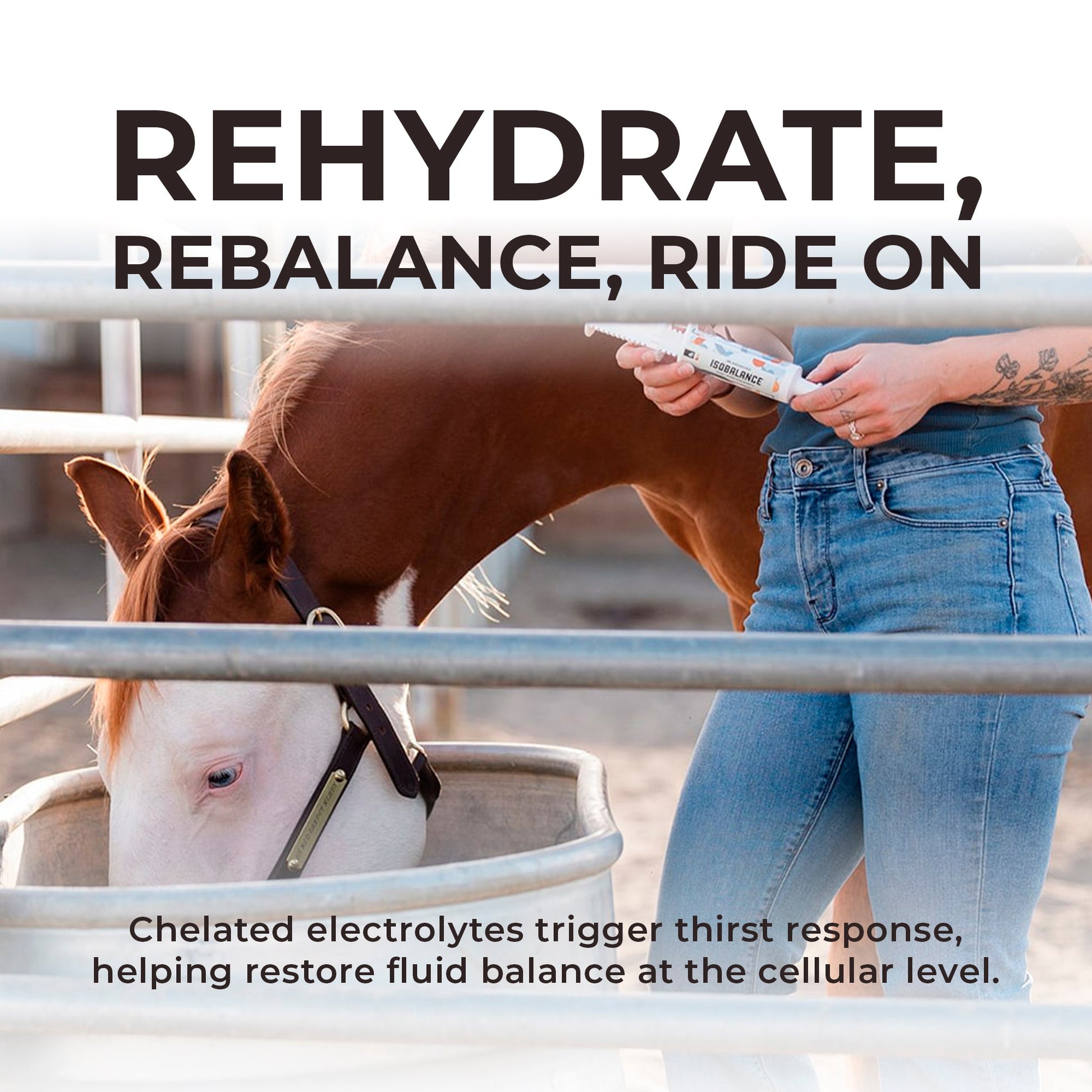 IsoBalance - Horse Electrolyte Paste - Riders Choice Supply Co