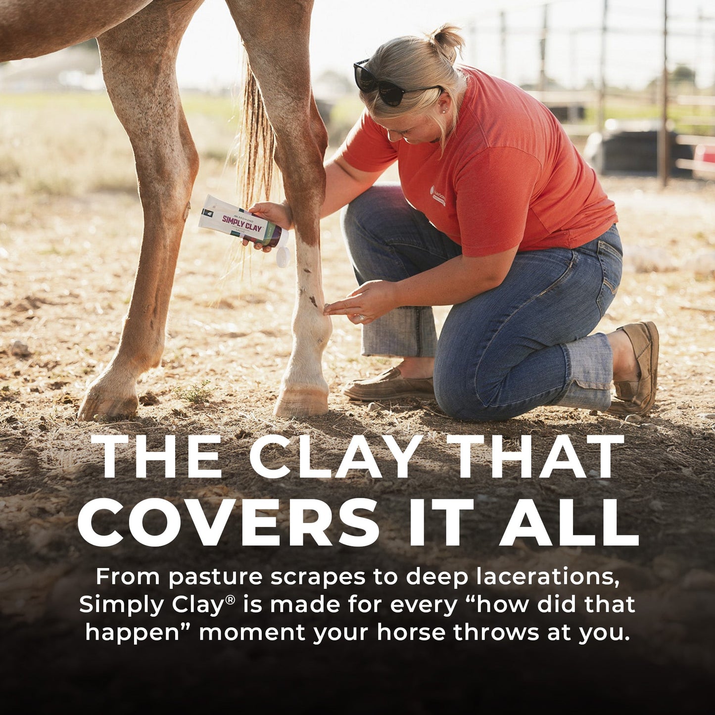 Simply Clay Salve – Bentonite Clay Horse Wound Care - Riders Choice Supply Co