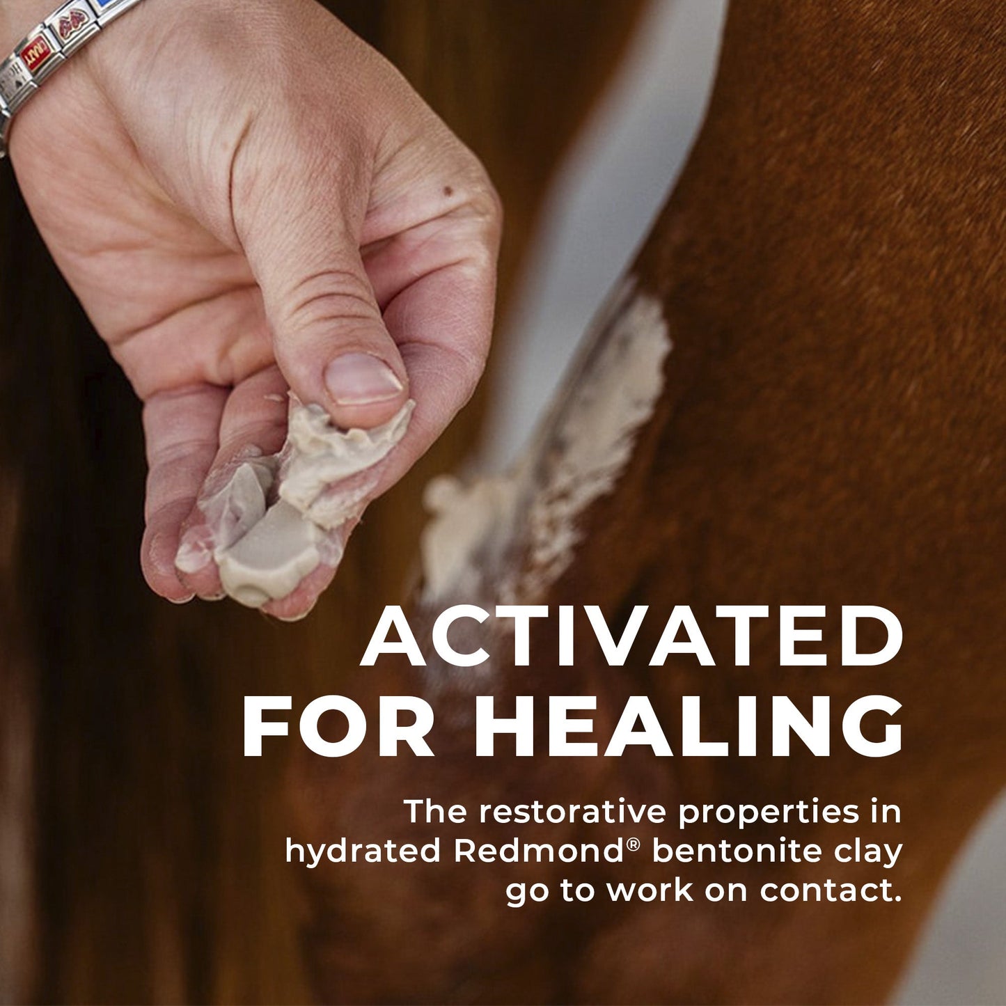 Simply Clay Salve – Bentonite Clay Horse Wound Care - Riders Choice Supply Co