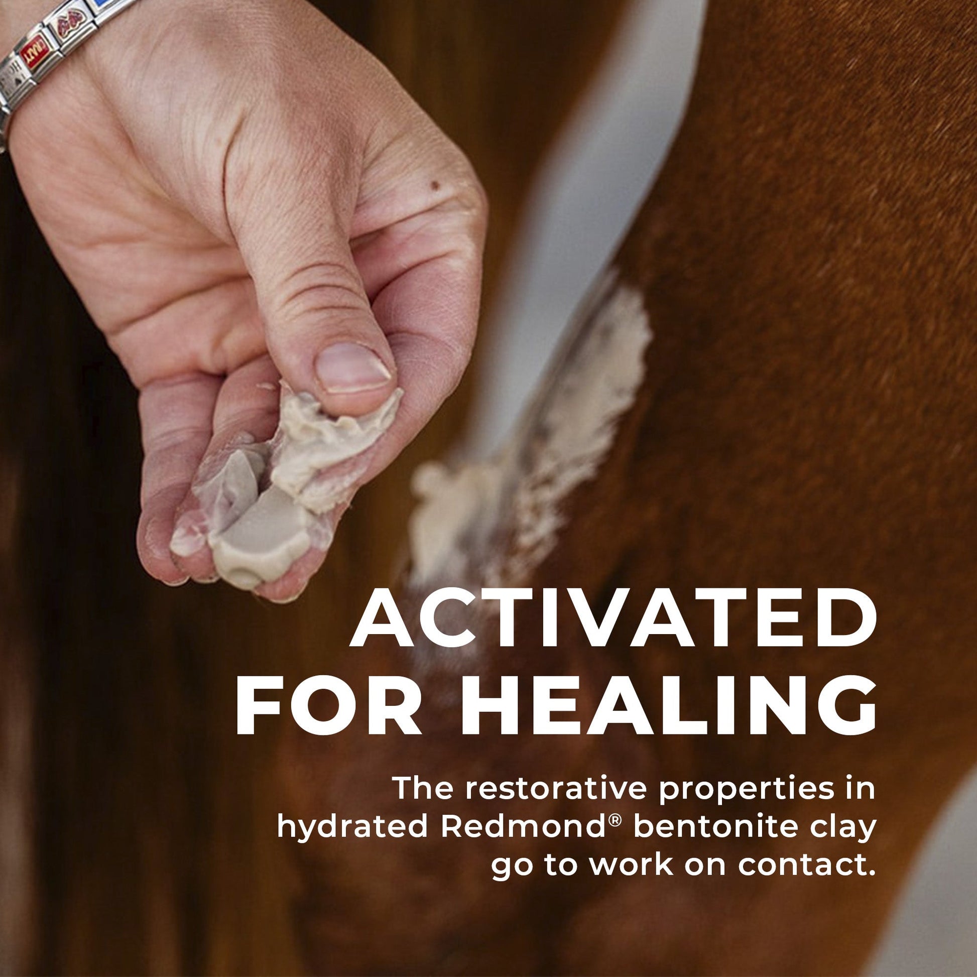 Simply Clay Salve – Bentonite Clay Horse Wound Care - Riders Choice Supply Co