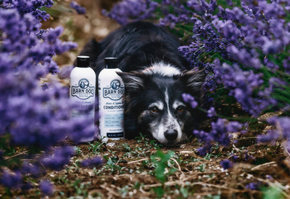 Barn Dog Conditioner - Riders Choice Supply Co