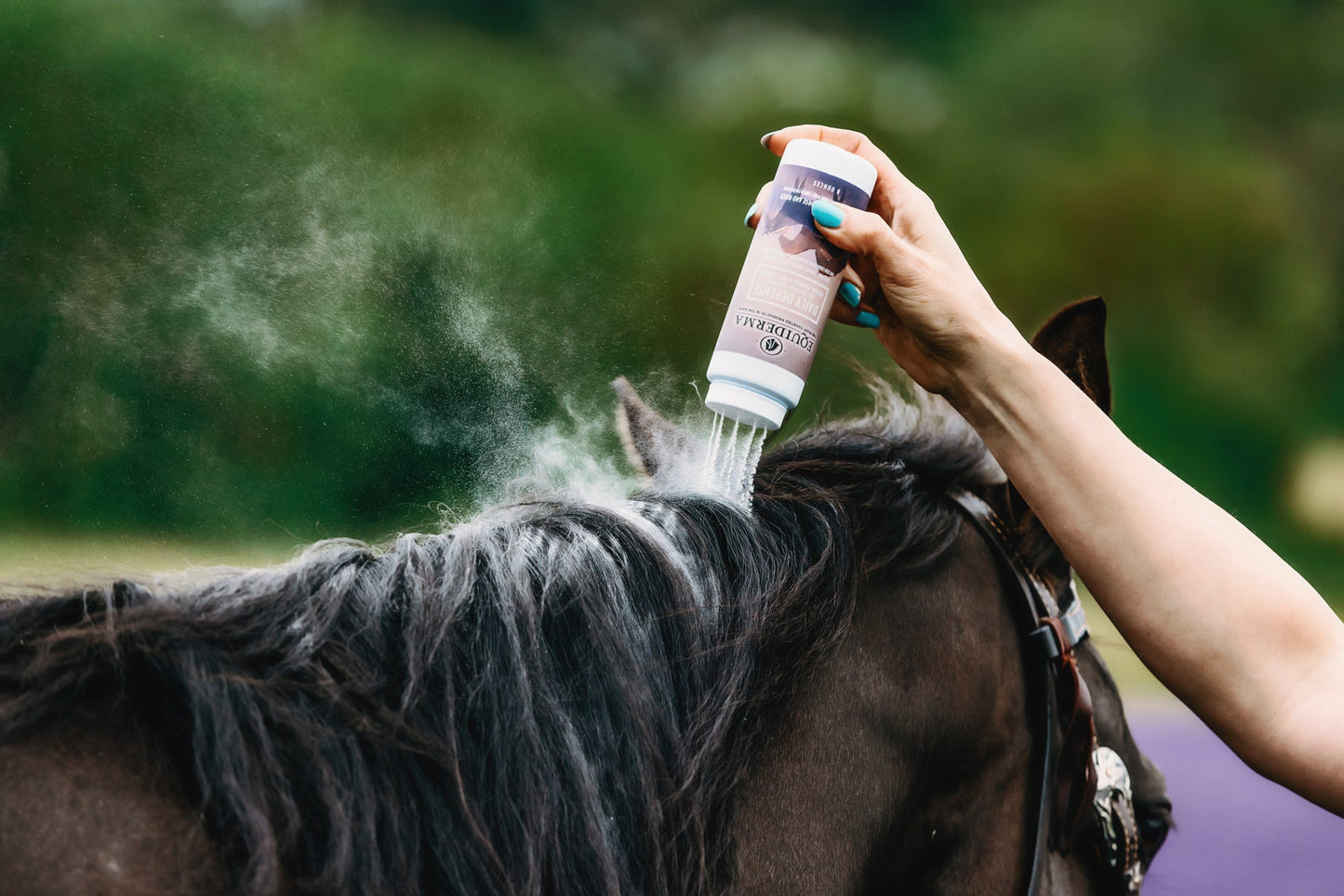 Daily Defense Dry Shampoo - Riders Choice Supply Co
