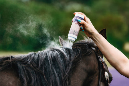 Daily Defense Dry Shampoo - Riders Choice Supply Co