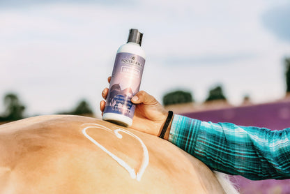 Skin Lotion - Riders Choice Supply Co