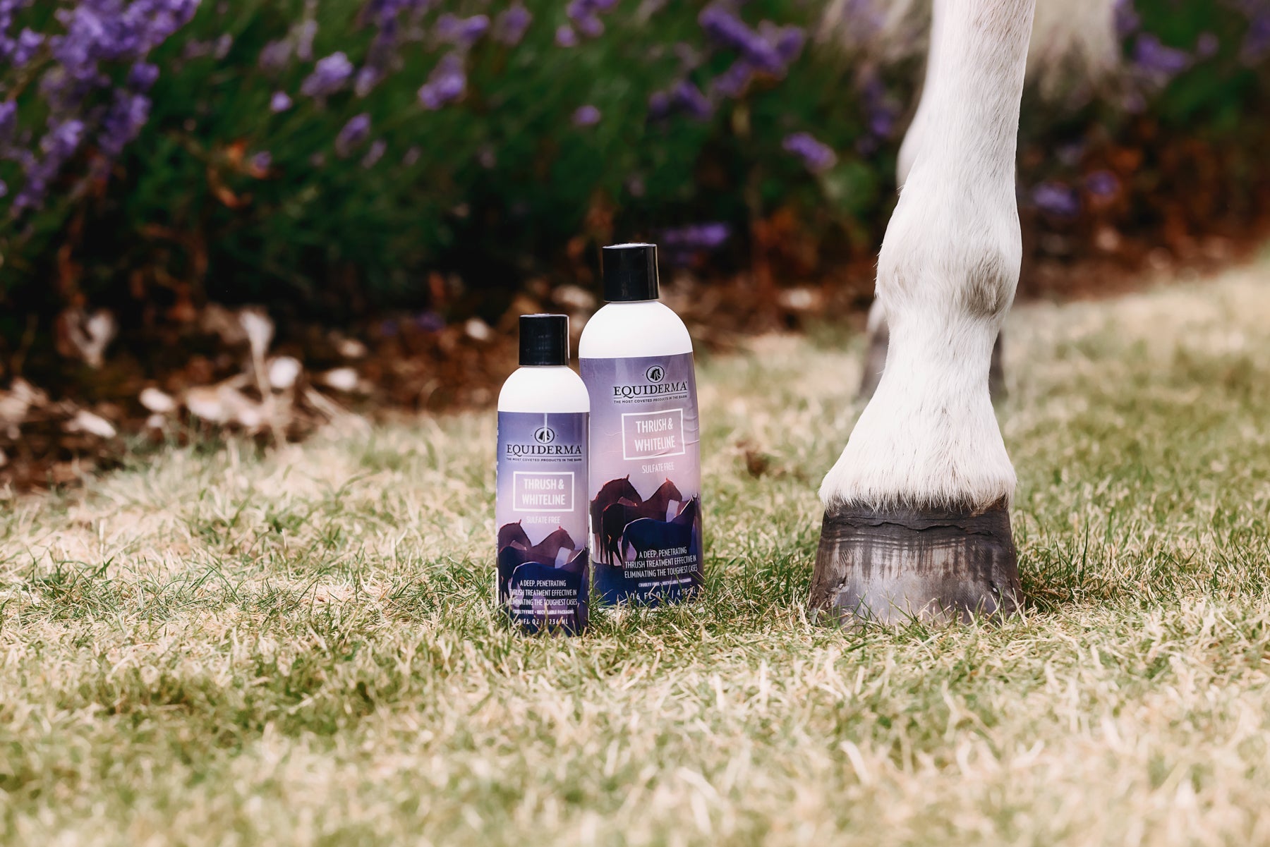 Thrush & Whiteline - Riders Choice Supply Co