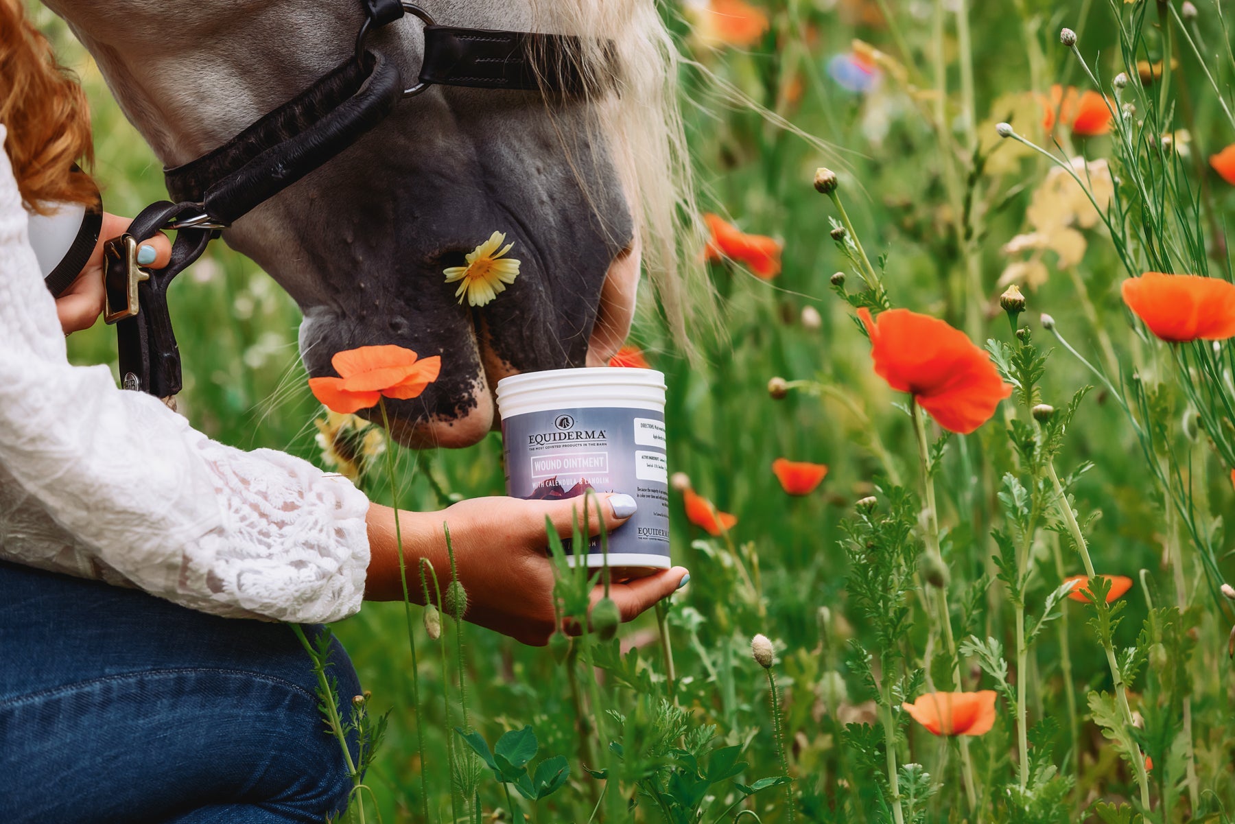 Wound Ointment - Riders Choice Supply Co