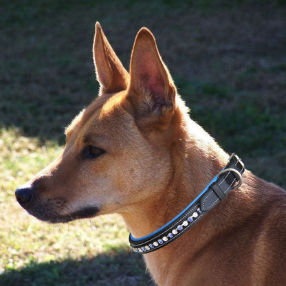 ExionPro White & Blue Bling Dog Collar
