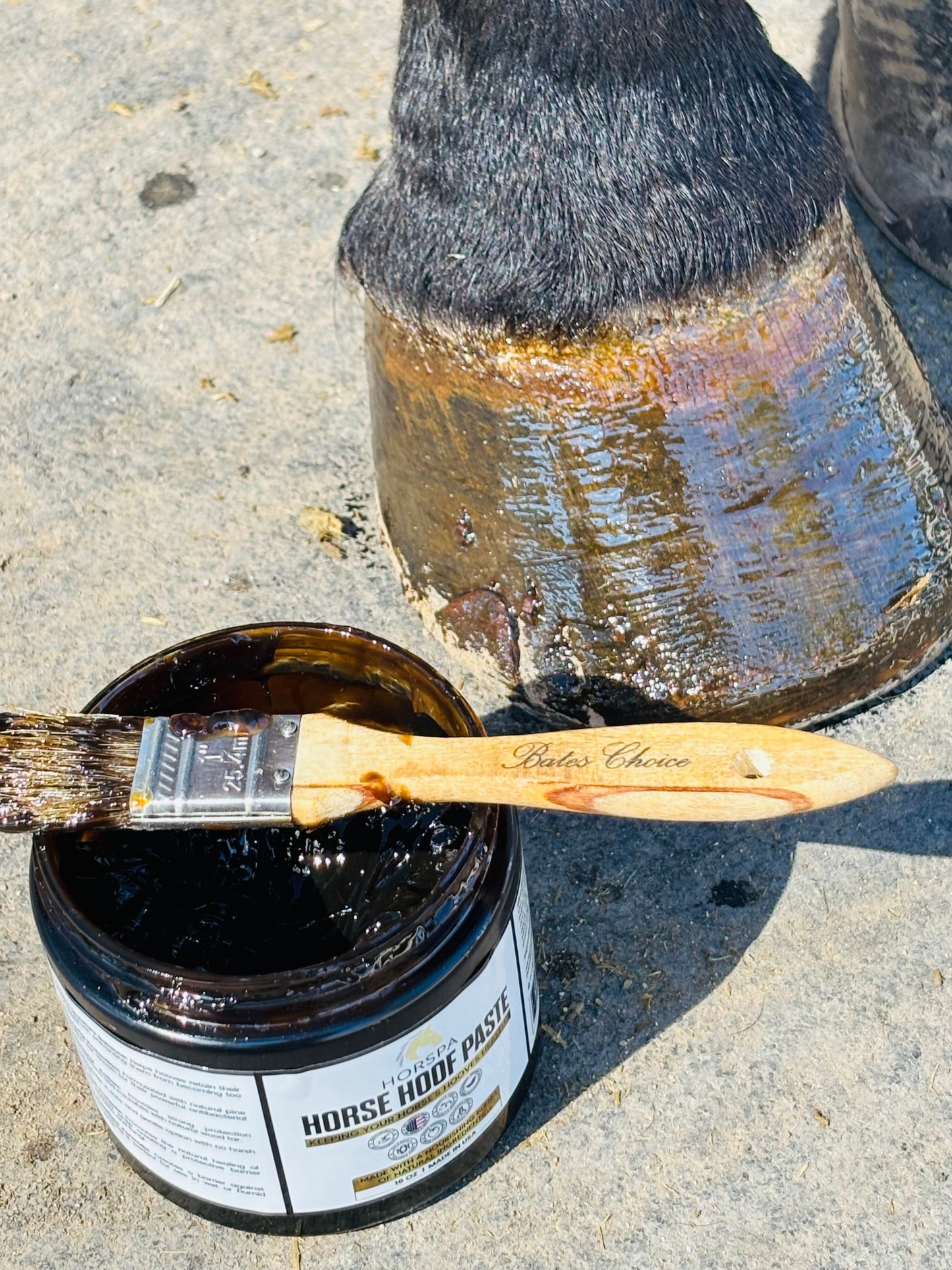 Horse Hoof PASTE & brush applicator 16 oz