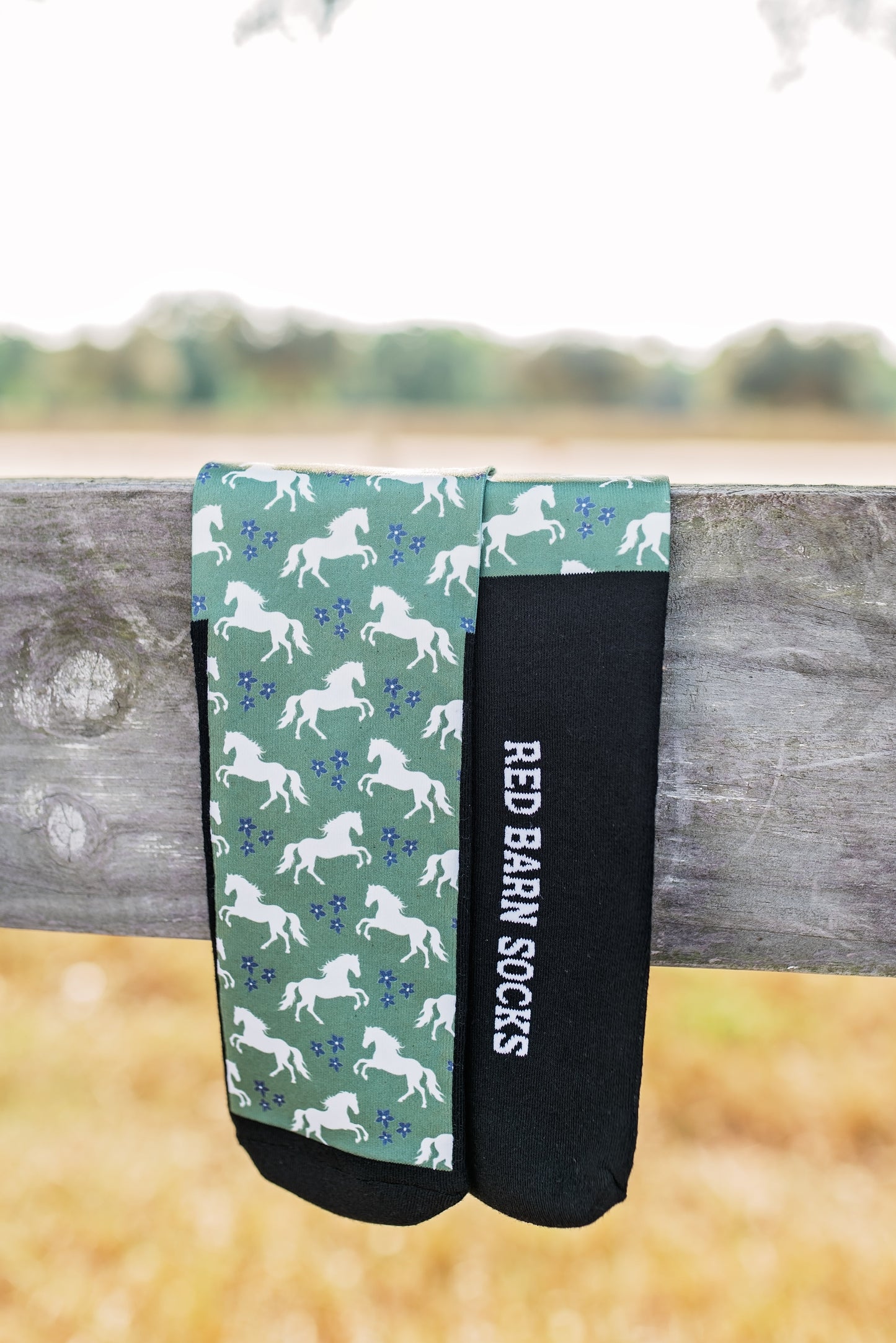 Gallop In Bloom