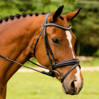 KL Select Flexion Bridle