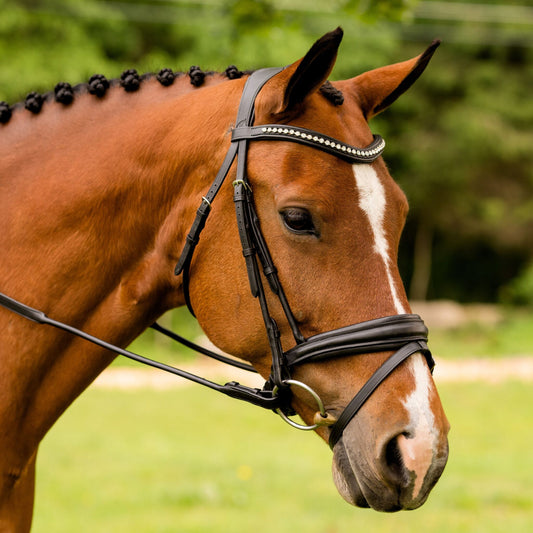 KL Select Flexion Bridle
