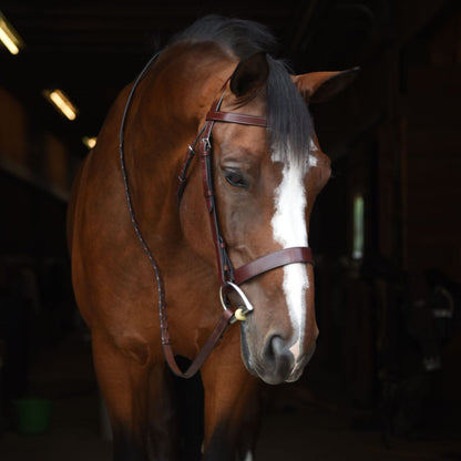 KL Select Foxwell Bridle