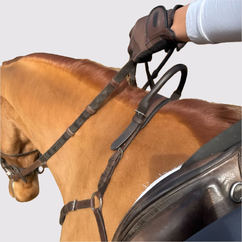 Free Motion Breastplate with Double Neck Strap - Riders Choice Supply Co