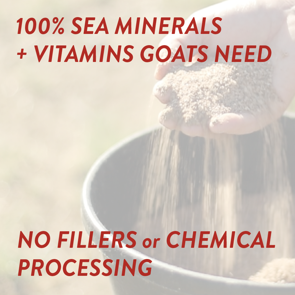 Goat Mineral - Riders Choice Supply Co
