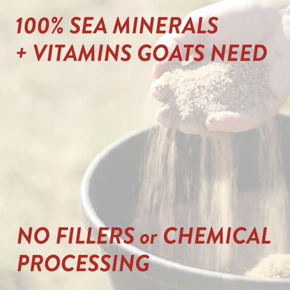 Goat Mineral - Riders Choice Supply Co