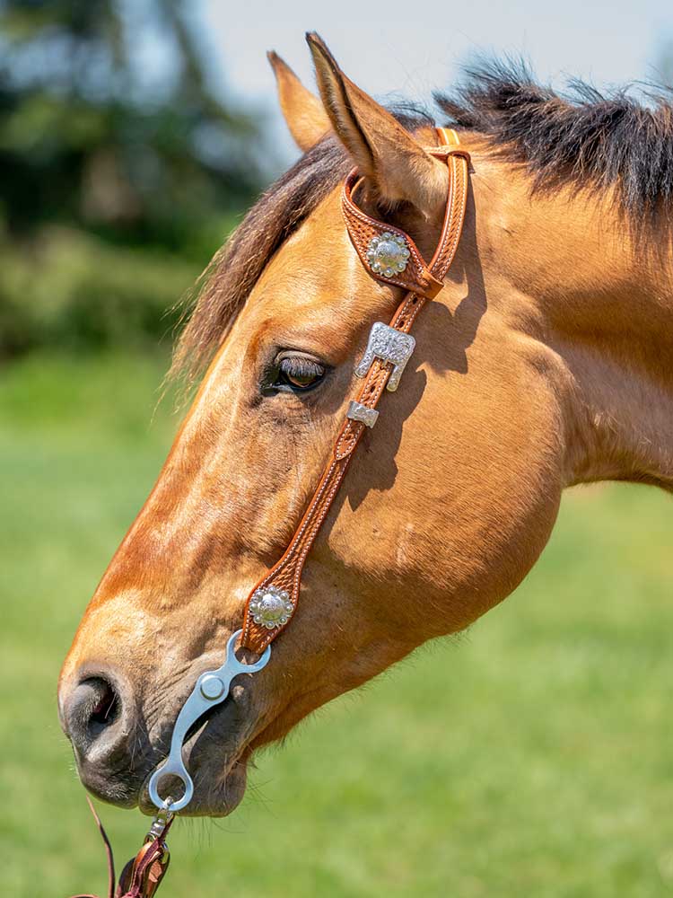 Millsboro Headstall - Riders Choice Supply Co