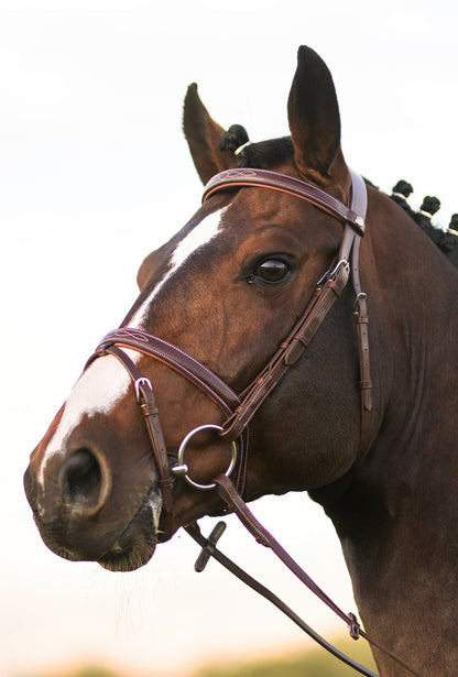 Kendall Bridle & Reins set - Riders Choice Supply Co