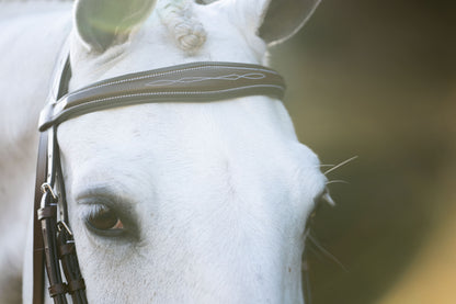 KL Select Hampton Bridle
