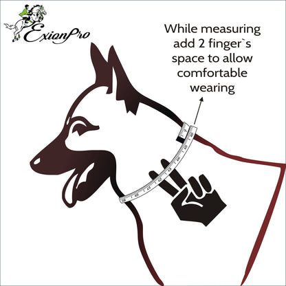 ExionPro Fancy Stitched Padded Leather Dog Collar - Havana Padding